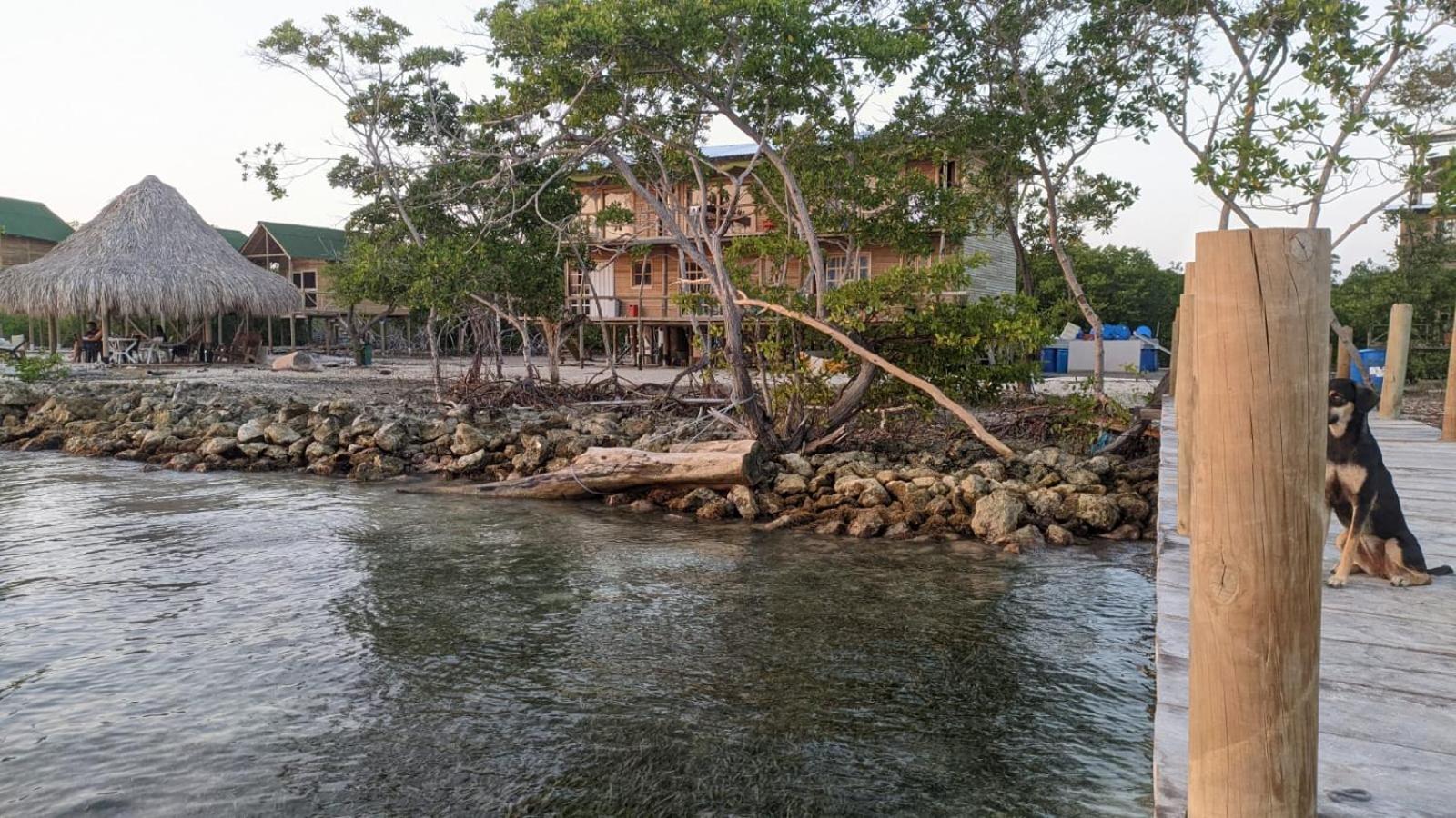 Hostel Villa Luz Beach Tintipan Island ภายนอก รูปภาพ